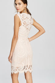 Blushing For You Lace Dress