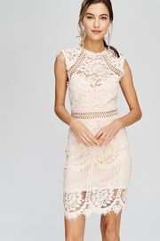 Blushing For You Lace Dress