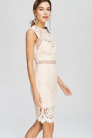 Blushing For You Lace Dress