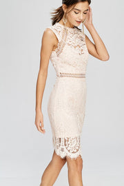 Blushing For You Lace Dress