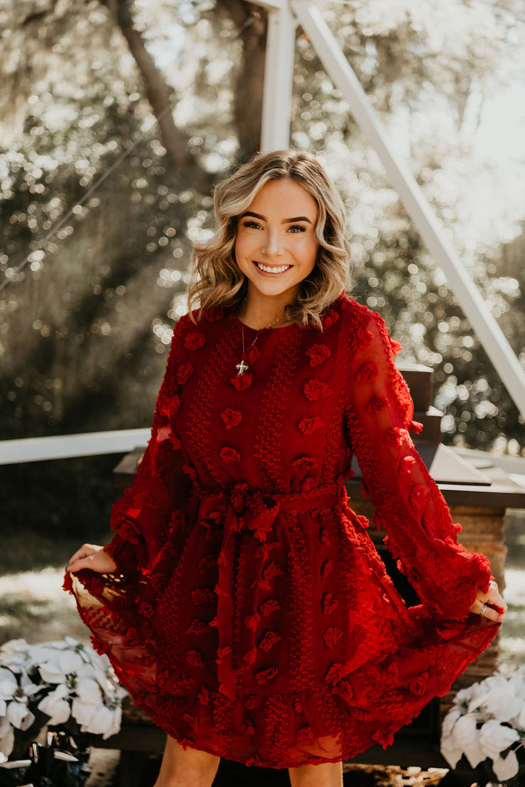 Jolly Red Mini Chiffon Dress