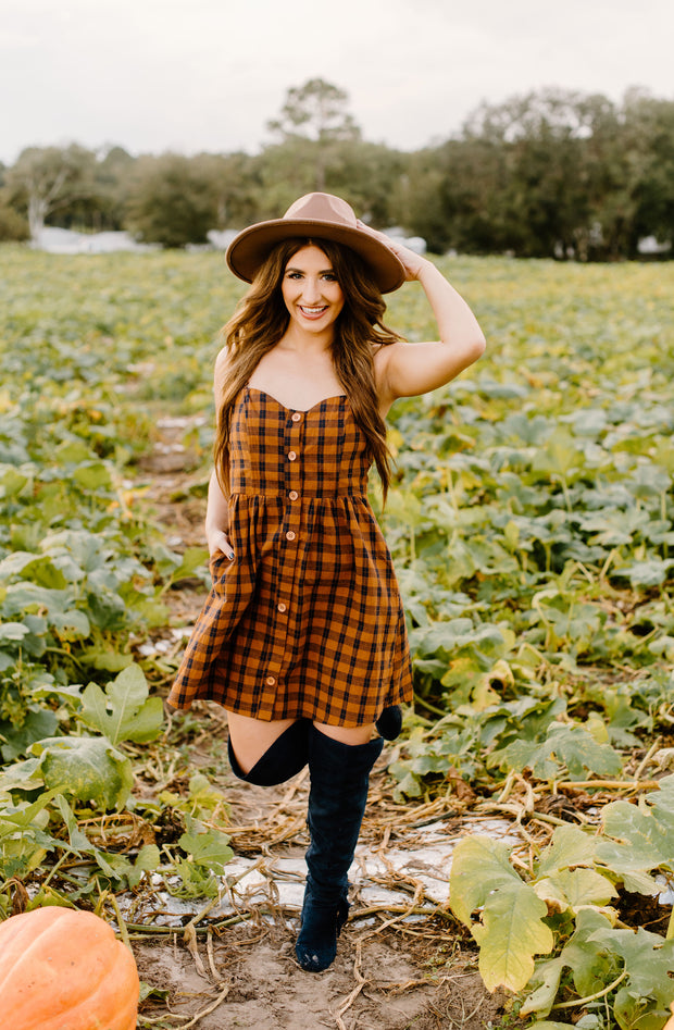 Plaid Button Down Baby Doll Dress